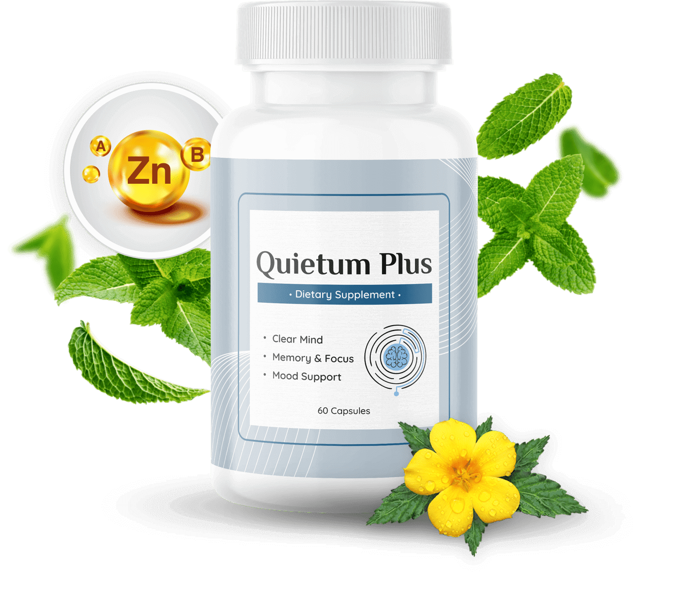 Quietum Plus